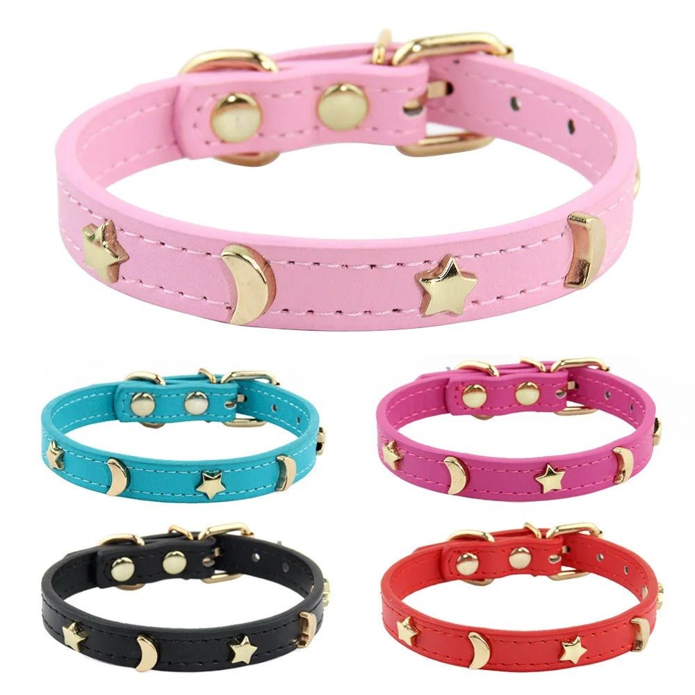 Collier pour chat | Majesté Céleste - Le Palais des Chats