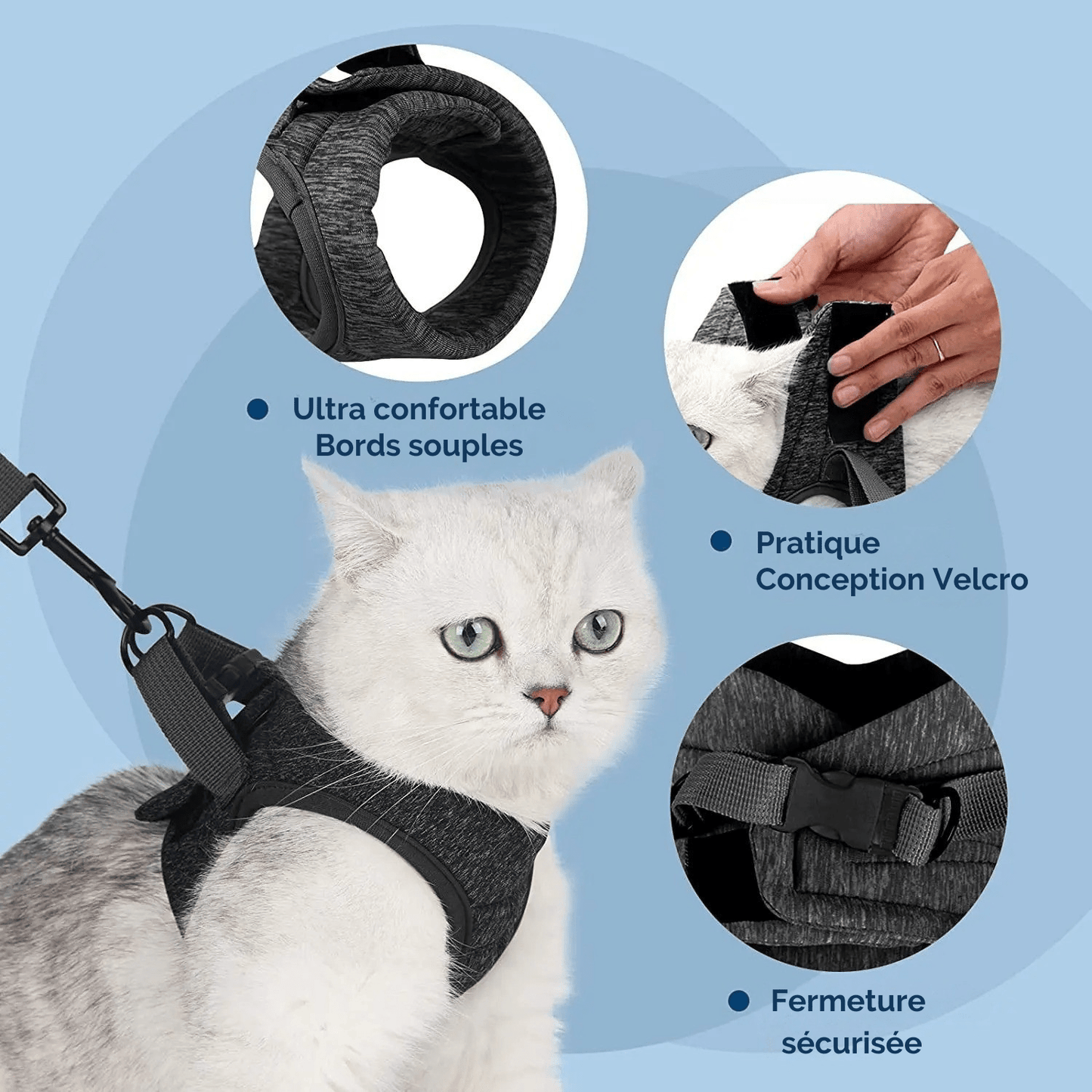 Harnais pour chat | Le Harnais du Palais - Le Palais des Chats