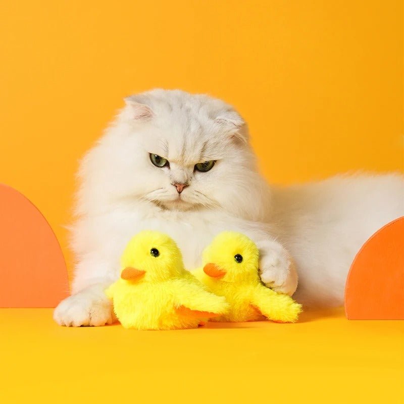 Jouet pour chat | Canard en peluche interactif Miaou’Duck - Le Palais des Chats