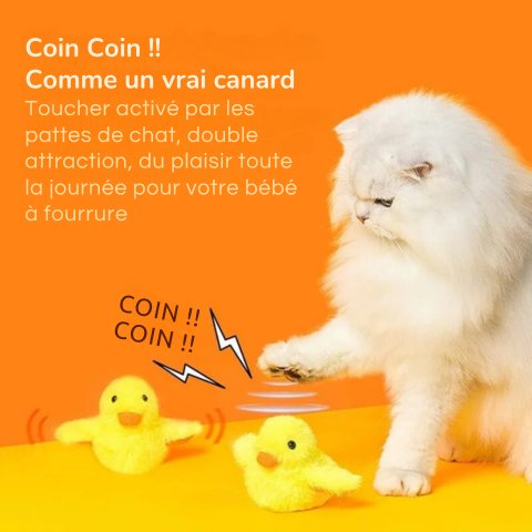 Jouet pour chats - Canard en peluche interactif - Le Palais des Chats