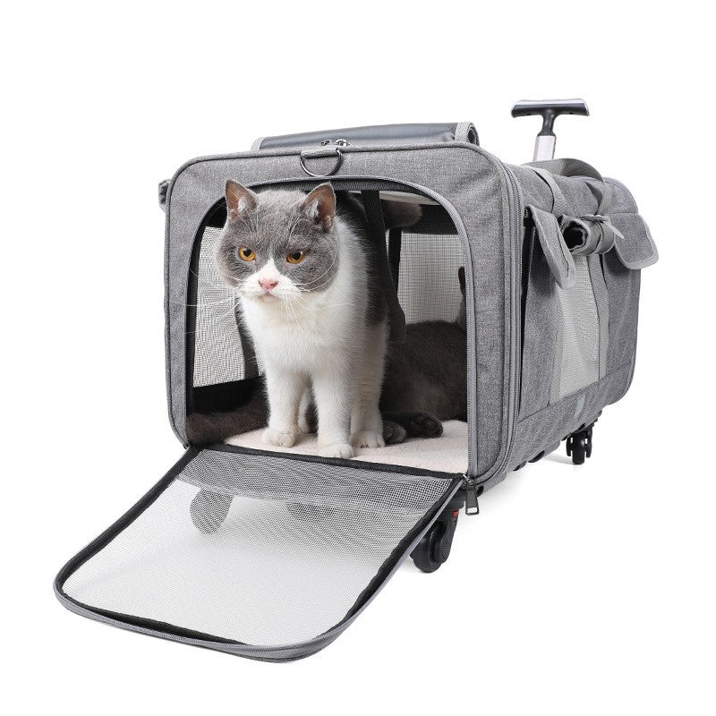 Sac de transport pour gros chat | La Mallette Royale - Le Palais des Chats