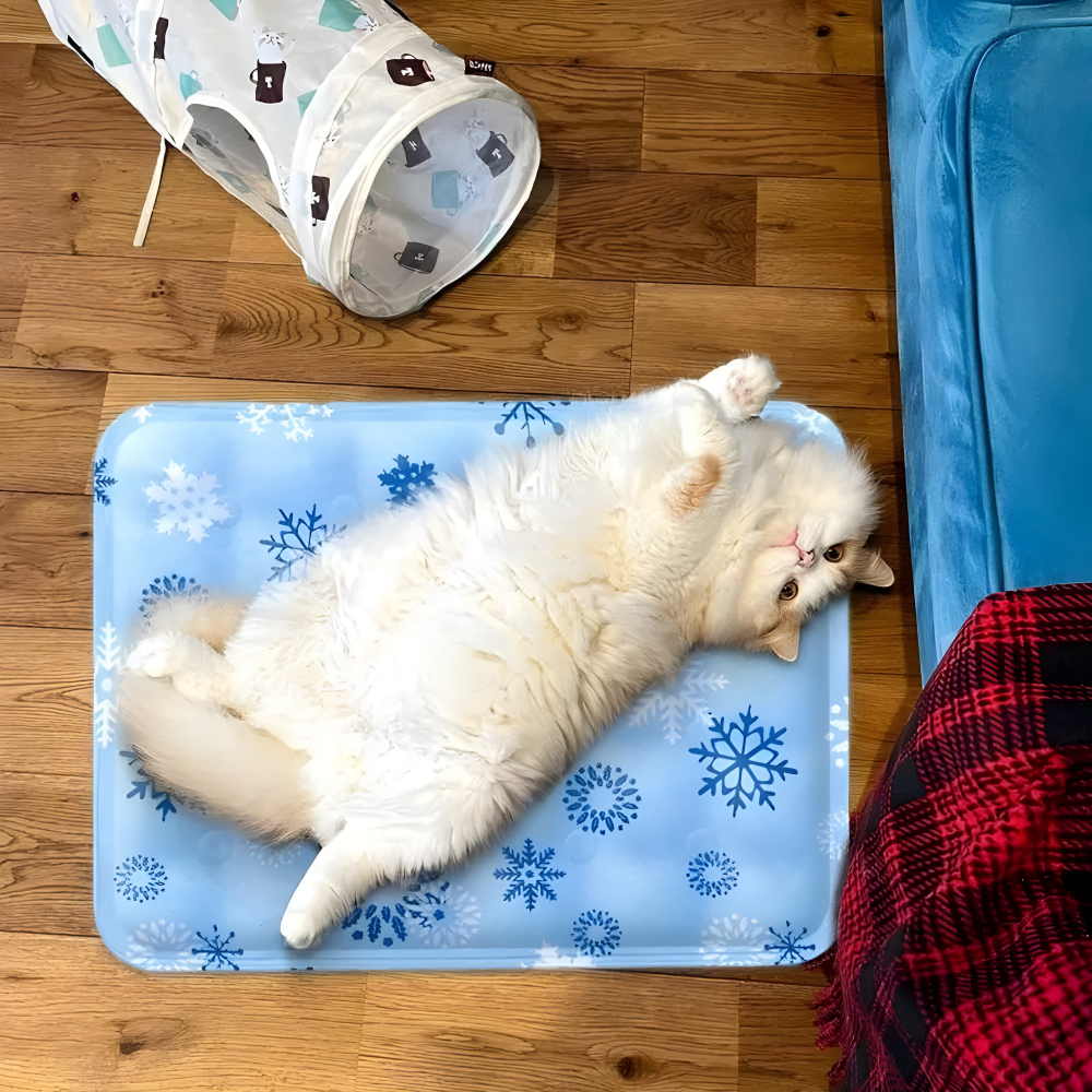 Tapis rafraîchissant pour chat | La Banquise Royale