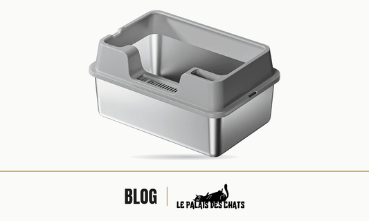 Bac à litière : inox ou plastique ? Ce que ça change vraiment au bout d'un an - Le Palais des Chats
