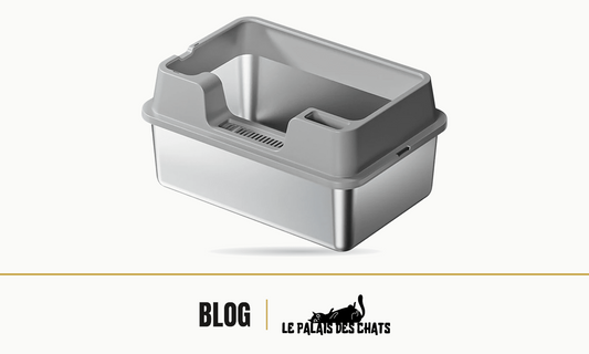 Bac à litière pour chat en acier inoxydable à rebord plastique, illustration de l'article comparant inox et plastique