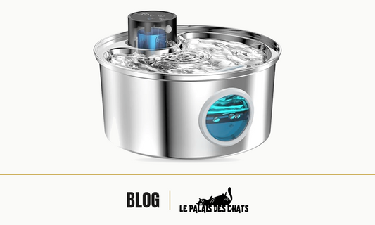 Fontaine à eau pour chat en inox avec fenêtre de niveau d'eau, illustration du guide d'entretien de la fontaine