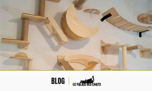 Mur d'appartement entièrement équipé d'étagères, marches, hamacs et griffoirs en bois pour chat, illustration de l'article comparant arbre à chat et parcours mural