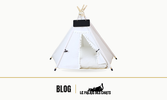 Tente tipi pour chat Le Campement Royal, idée cadeau de Noël pour un chat