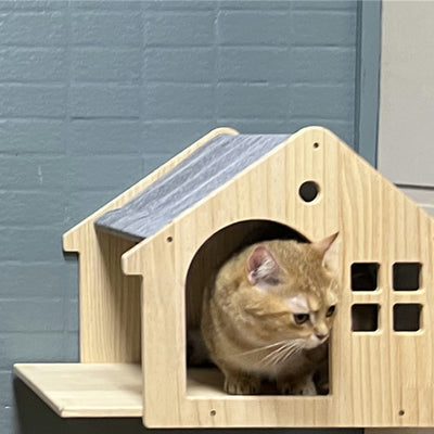 Étagères murales et parcours pour chat - Le Palais des Chats