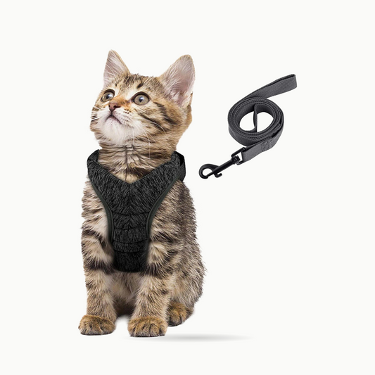 Harnais pour chat | Le Harnais du Palais