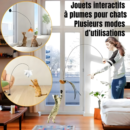 Les modes de jeu du jouet à ventouse L'Oiseau Farceur