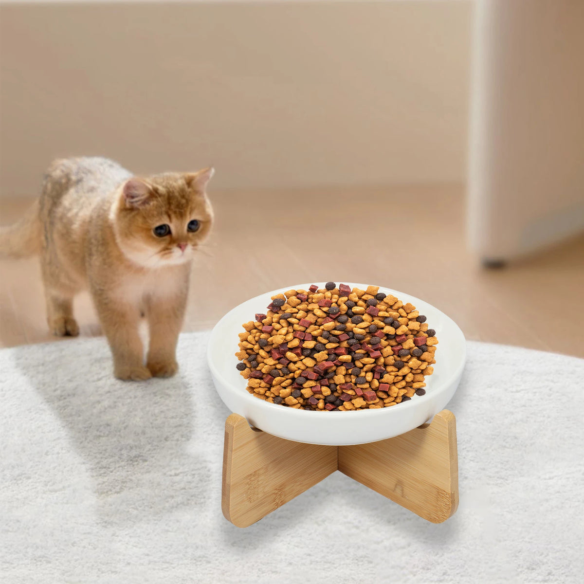 Jeune chat roux qui regarde la gamelle anti-glouton en céramique remplie de croquettes, sur son support en bois