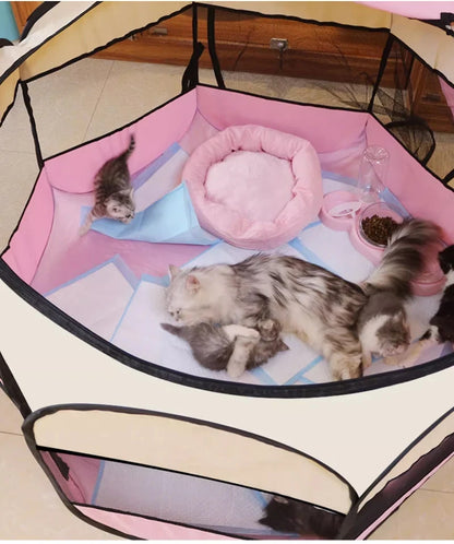 Parc pour chat rose et crème vu d'en haut, un chat adulte et des chatons à l'intérieur, accessoires non fournis