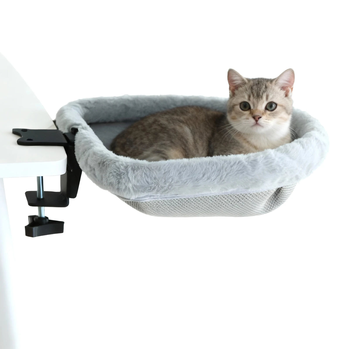 Lit de bureau pour chat pliable La Loge Royale fixé par pince au bord d'un bureau blanc, chat tigré couché dans la peluche