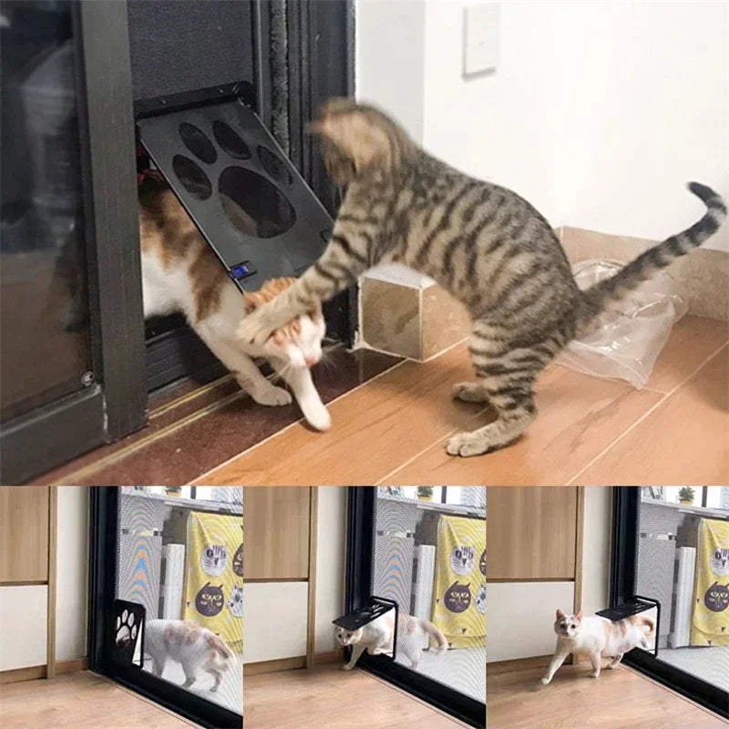 Chat franchissant une chatière pour moustiquaire posée dans une porte moustiquaire, face à un chat tigré