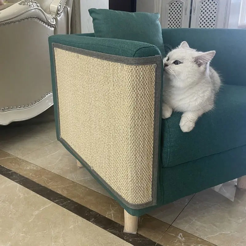 Griffoir protège-canapé en lamelles de bambou épinglé sur l'accoudoir d'un canapé vert, chat blanc couché sur l'assise