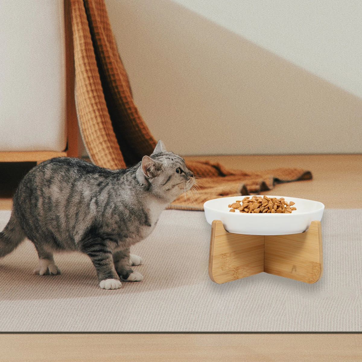 Chat tigré gris qui s'approche de la gamelle anti-glouton en céramique garnie de croquettes, sur son support en bois