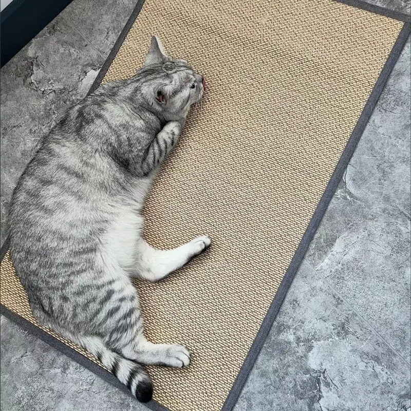 Griffoir protège-canapé en lamelles de bambou posé à plat au sol, chat tigré gris allongé dessus