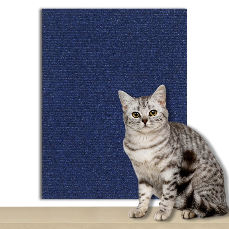 Tapis griffoir adhésif bleu marine, moquette à fines côtes, chat tigré assis devant