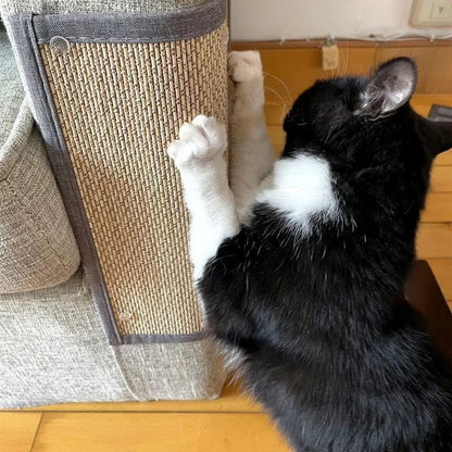 Griffoir protège-canapé en lamelles de bambou épinglé sur un canapé gris, chat noir et blanc debout qui fait ses griffes