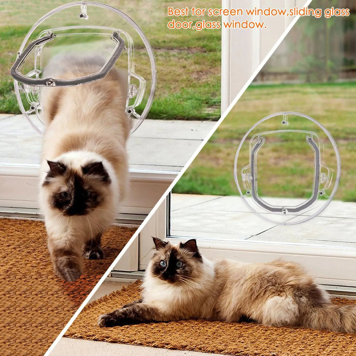 Chat qui franchit une chatière transparente posée dans une baie vitrée, puis allongé devant la vitre