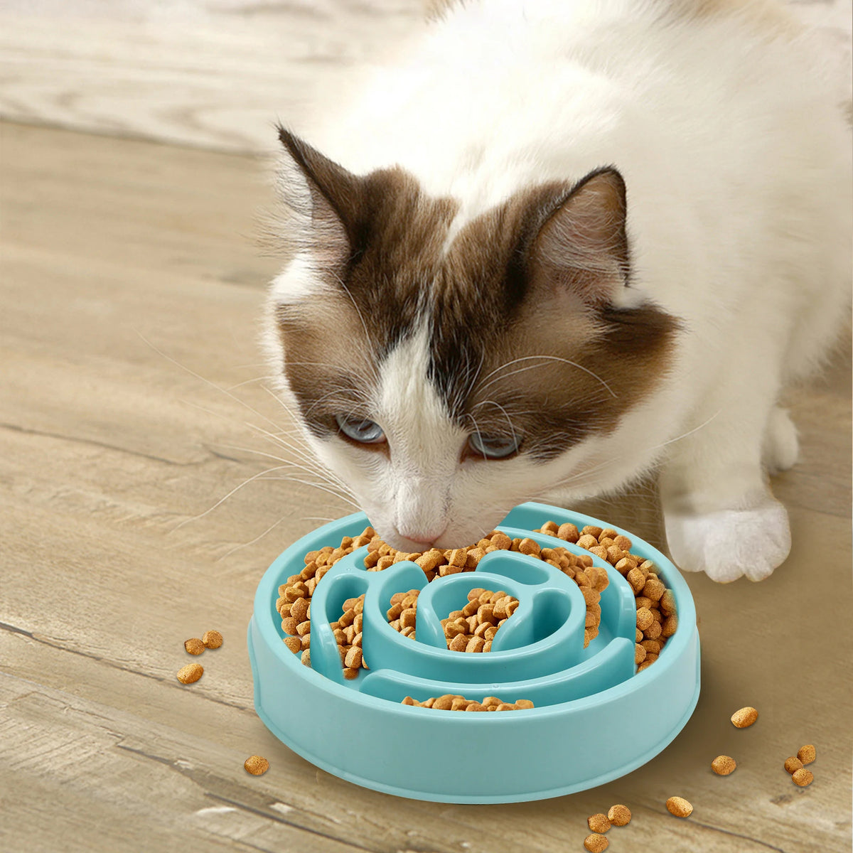 Gamelle anti-glouton pour chat en Bleu : un chat blanc et brun y mange ses croquettes
