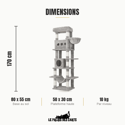 Arbre à chat 170 cm multi-niveaux | Le Perchoir Royal - Le Palais des Chats