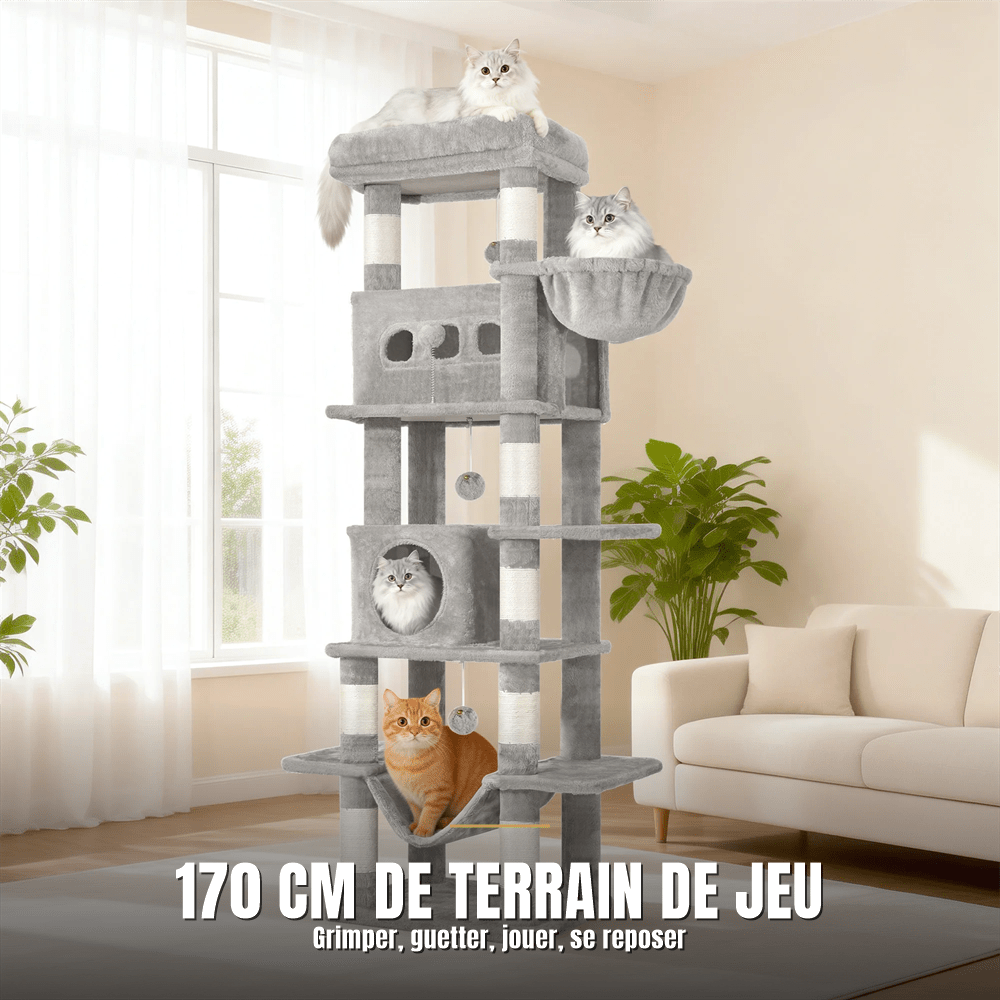 Arbre à chat 170 cm multi-niveaux | Le Perchoir Royal - Le Palais des Chats