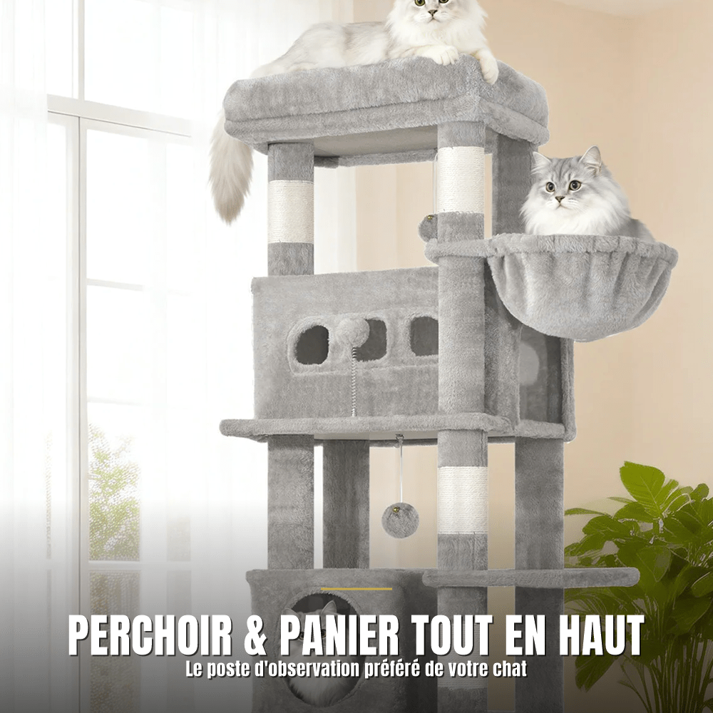 Arbre à chat 170 cm multi-niveaux | Le Perchoir Royal - Le Palais des Chats