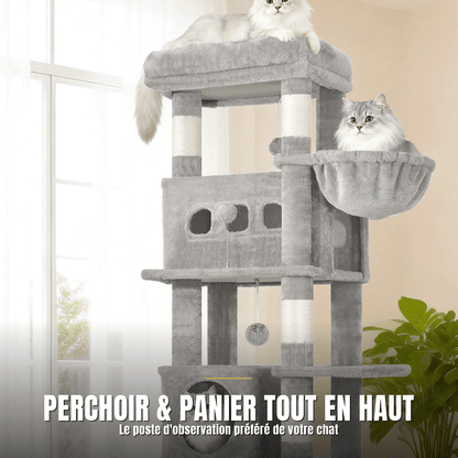 Arbre à chat 170 cm multi-niveaux | Le Perchoir Royal - Le Palais des Chats