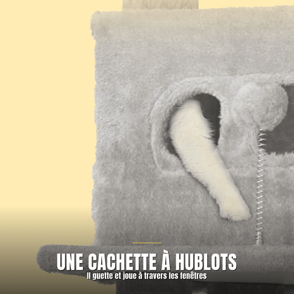 Arbre à chat 170 cm multi-niveaux | Le Perchoir Royal - Le Palais des Chats
