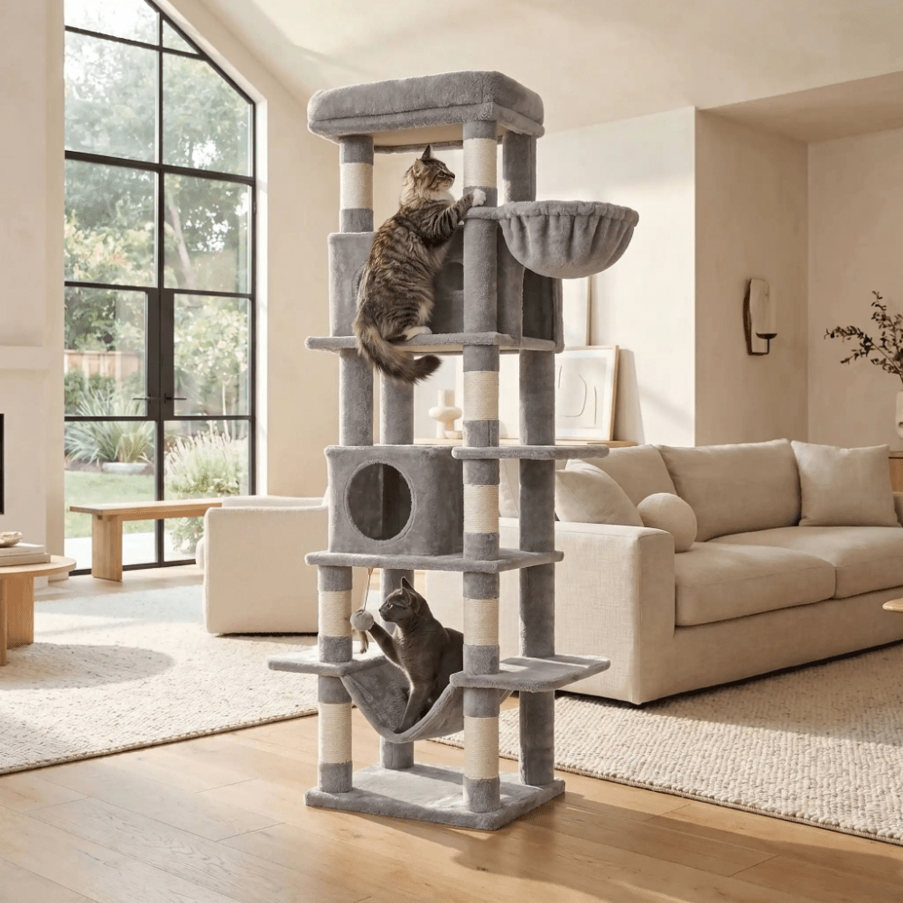Arbre à chat 170 cm multi-niveaux | Le Perchoir Royal - Le Palais des Chats