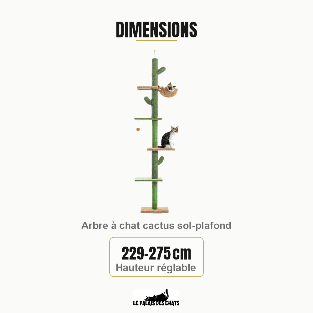 Dimensions de Le Cactus Majestueux : 229-275 cm Hauteur réglable