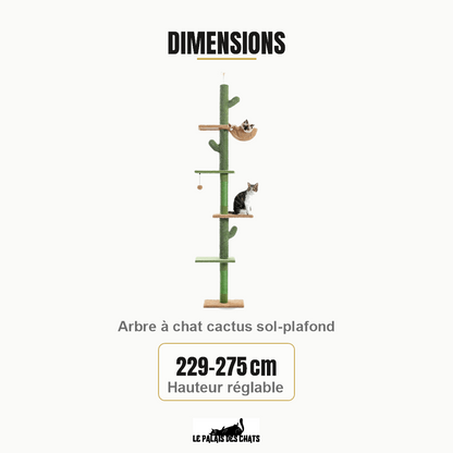 Dimensions de Le Cactus Majestueux : 229-275 cm Hauteur réglable