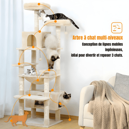 Arbre à chat | Griff’Cime - Le Palais des Chats