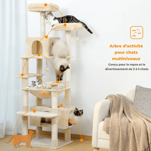 Arbre à chat | Griff’Cime - Le Palais des Chats