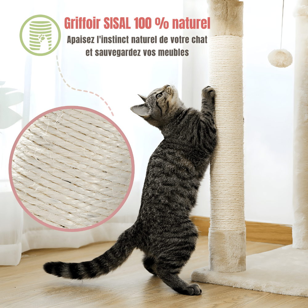Arbre à chat | Hauteur Royale - Le Palais des Chats