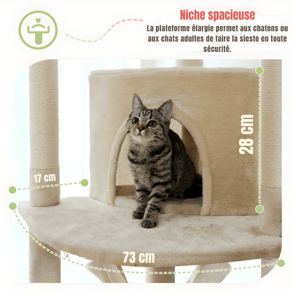 Arbre à chat | Hauteur Royale - Le Palais des Chats