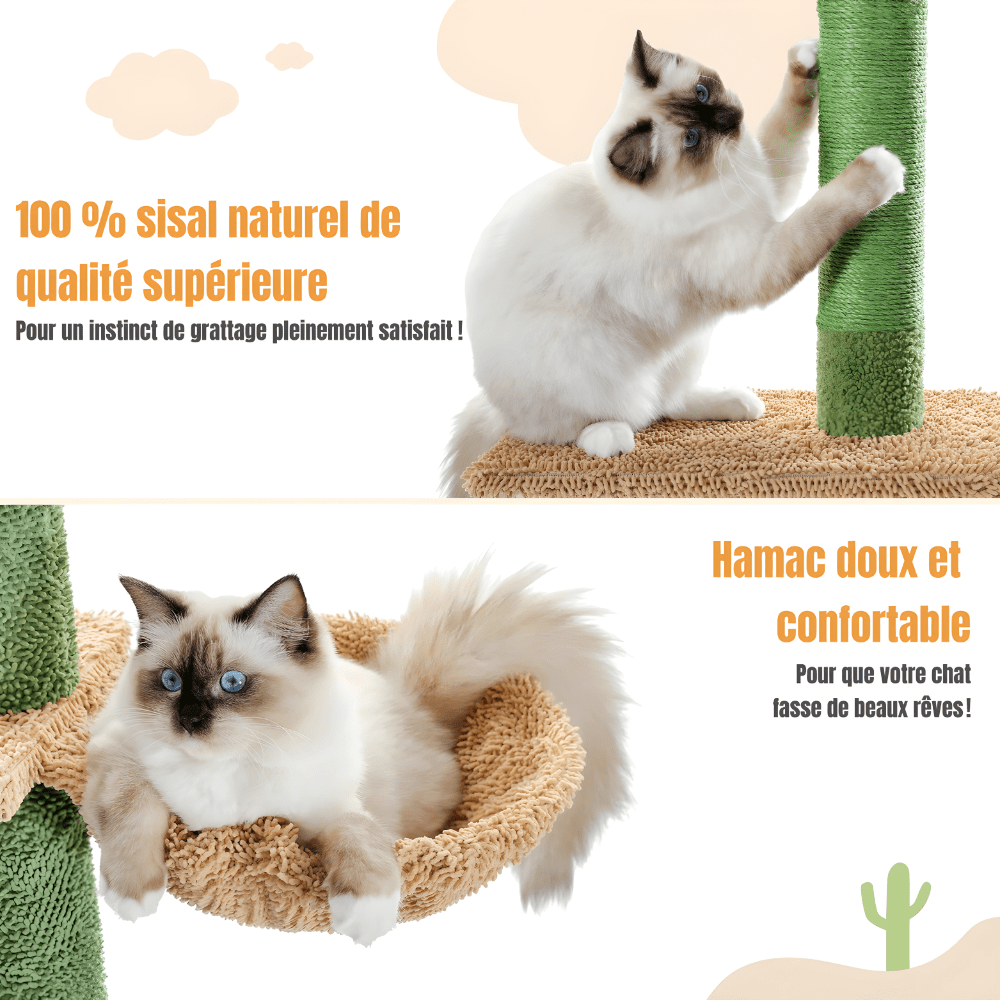 Arbre à chat | Le Cactus Majestueux - Le Palais des Chats