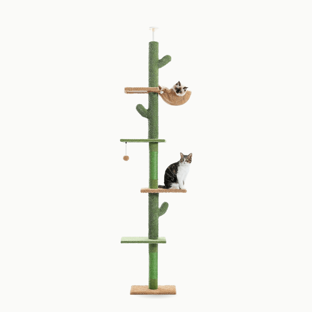 Arbre à chat | Le Cactus Majestueux - Le Palais des Chats