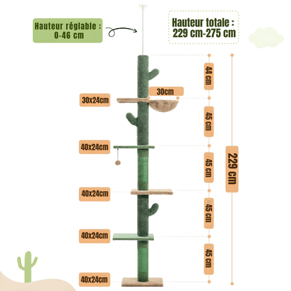 Arbre à chat | Le Cactus Majestueux - Le Palais des Chats