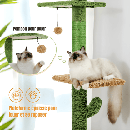 Arbre à chat | Le Cactus Majestueux - Le Palais des Chats