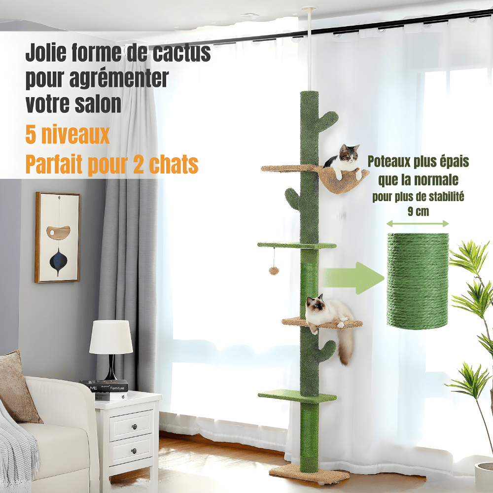 Arbre à chat | Le Cactus Majestueux - Le Palais des Chats