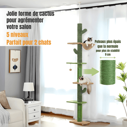 Arbre à chat | Le Cactus Majestueux - Le Palais des Chats