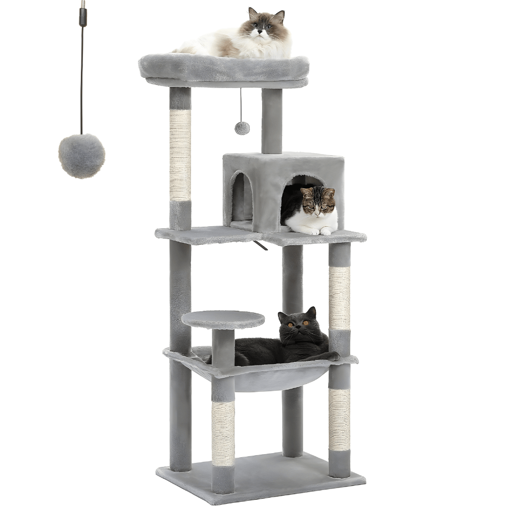 Arbre à chat | Le chat perché - Le Palais des Chats