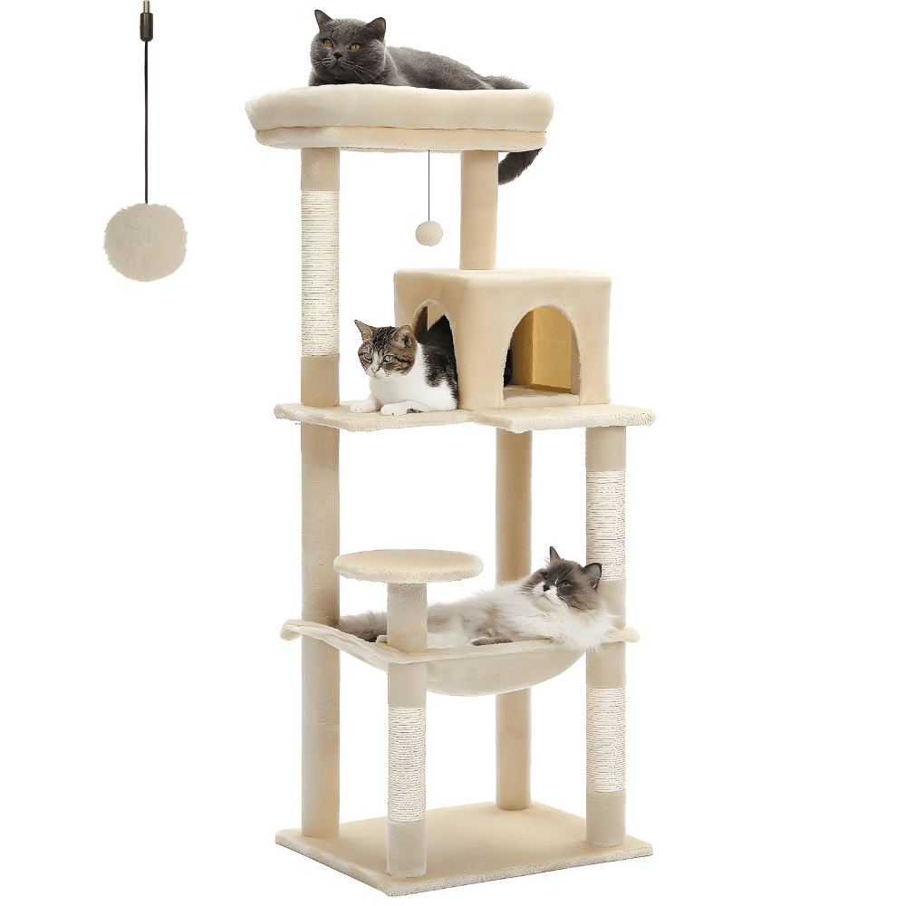 Arbre à chat | Le chat perché - Le Palais des Chats