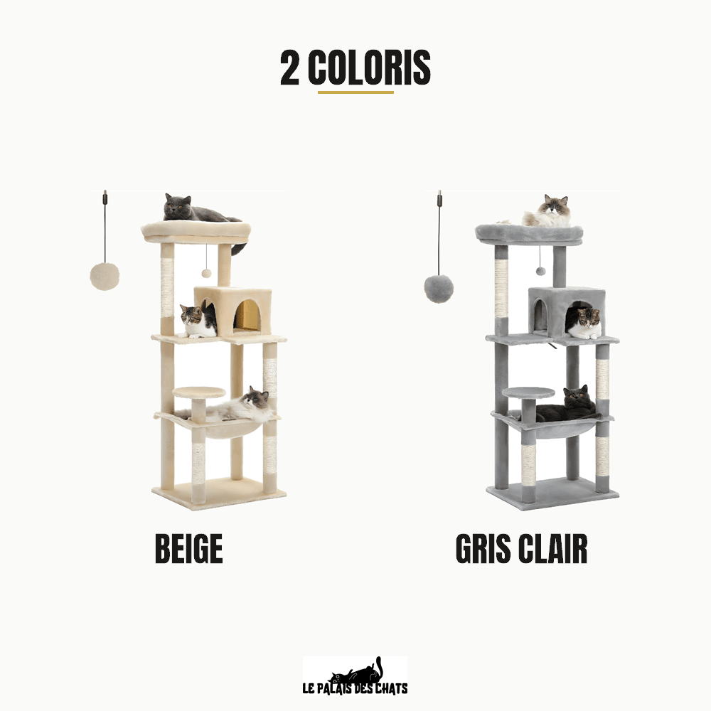 Arbre à chat | Le chat perché - Le Palais des Chats