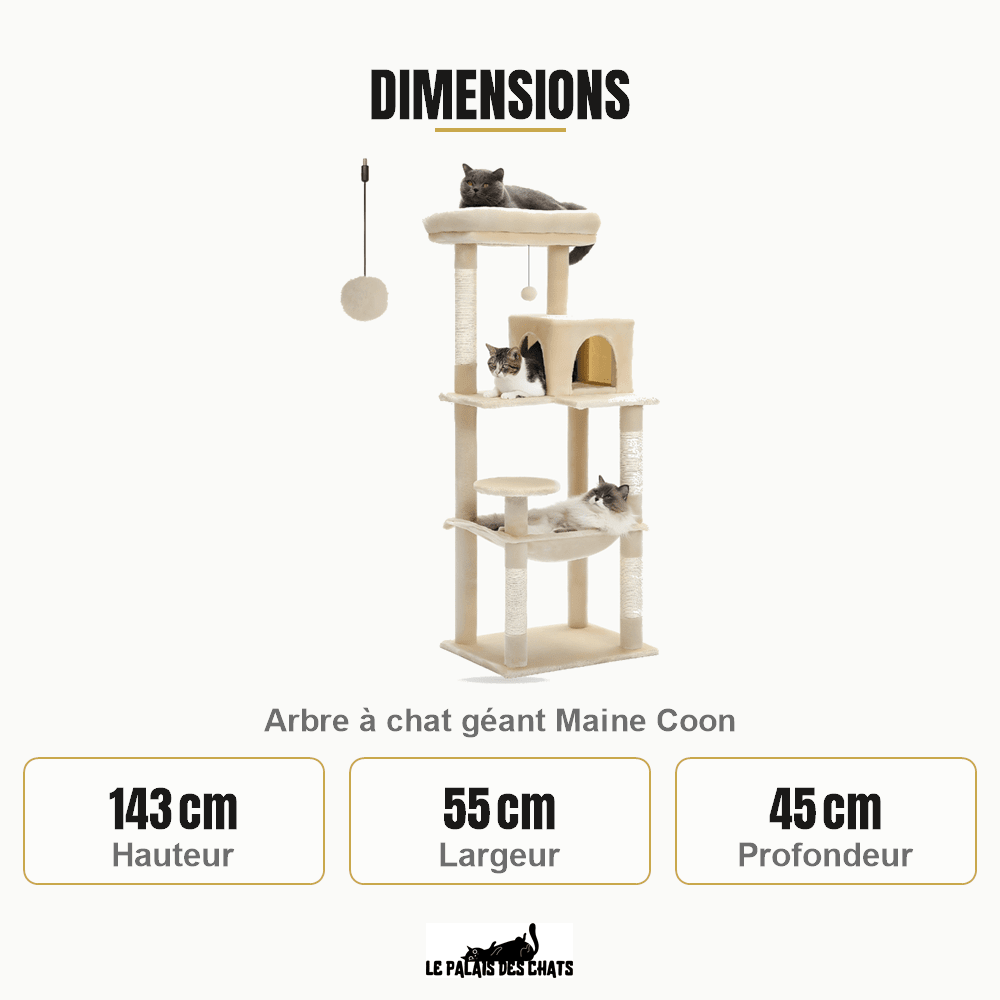 Arbre à chat | Le chat perché - Le Palais des Chats
