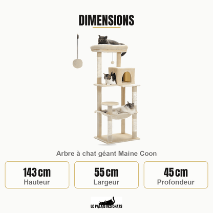 Arbre à chat | Le chat perché - Le Palais des Chats