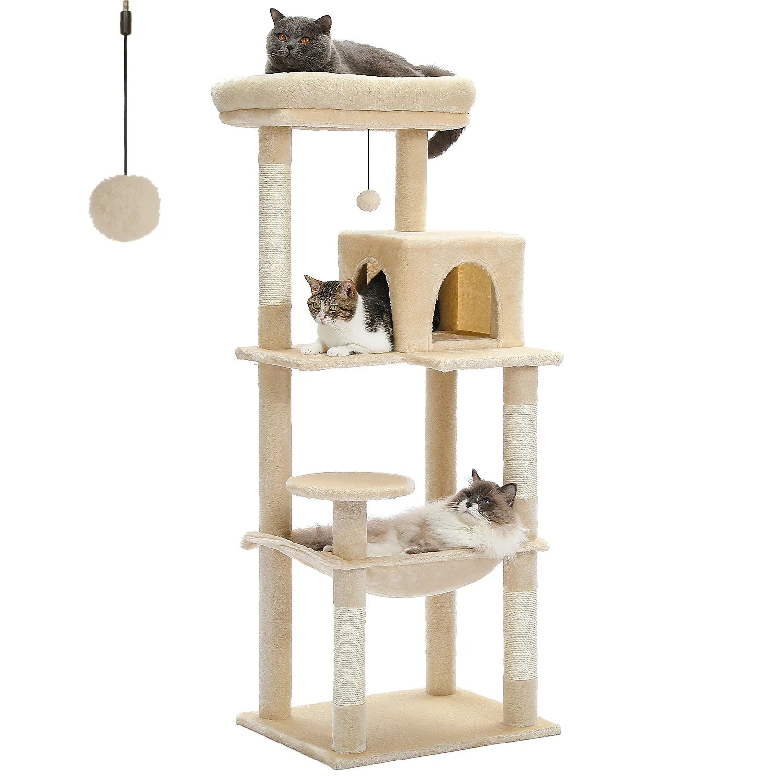 Arbre à chat - Le chat perché - Le Palais des Chats
