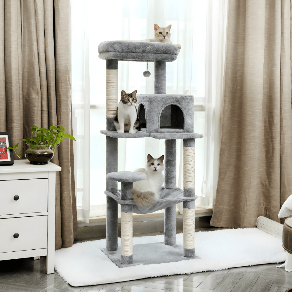 Arbre à chat | Le chat perché - Le Palais des Chats